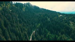 Pexels Videos good videos for mind screenshot 4