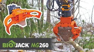 Biojack Mg260 For Harvesting Energy Wood