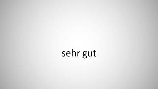 How to say damn stupid in German?
