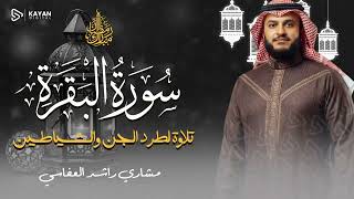 Surah Al-Baqarah Mishary Rashed Alafasy سورة البقرة كاملة | تلاوة مهيبة | الشيخ مشاري راشد العفاسي