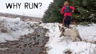 Want to enjoy every run Be more dog.