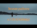 Зимняя рыбалка в глухозимье Подлещики