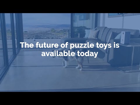 puppod smart toy