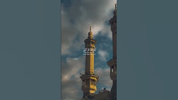 إن الله وملائكته يصلون على النبي ||تلاوة خاشعة //بصوت القارئ صالح اليافعي⏱️ثواني تريح الاعصاب 🎧🤍🌿