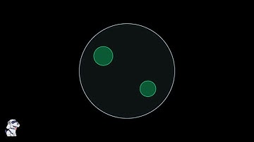 Volvox – Definition, Characterisitcs, Structure, Reproduction