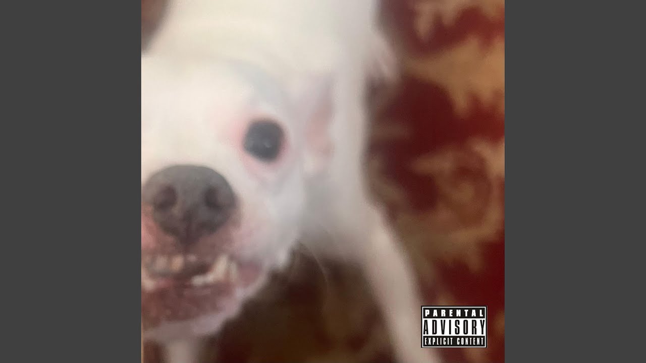 Watch dog days on YouTube Watch dog days on YouTube