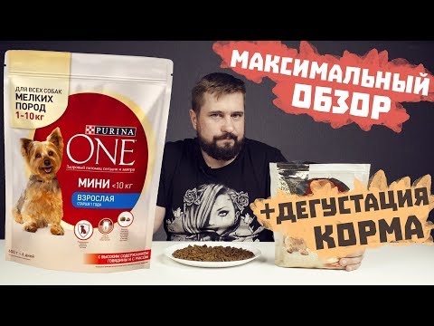 Сухой корм Purina ONE для собак с ягненком | Обзор корма | Корм Пурина Ван для собак