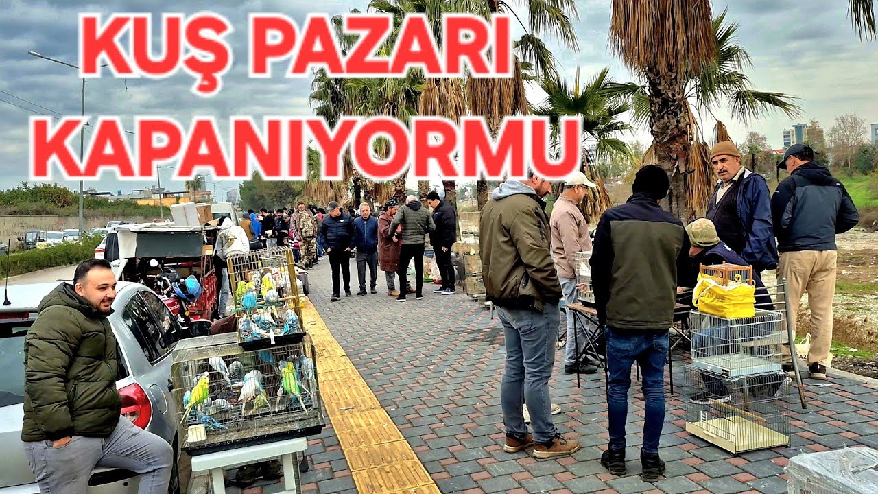 DESTEK LÜTFEN❗️İMZALAR TOPLANDI❗️KUŞ TAVUK PAZARI KAPANIYORMU.
