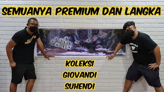 KOLEKSI PREMIUM DAN LANGKA MILIK GIOVANDI SUHENDI