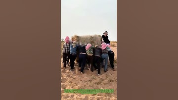 Straw Warriors - How Desert Fighters Stop Sand With Just Grass!