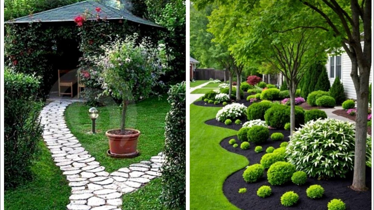 Transforming Outdoor Oasis:The Art of Beautiful Landscaping your Backyard/ Gardening ideas for home
