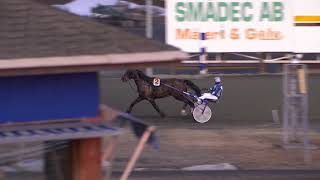 Vidéo de la course PMU PRIX TOPAZE D'OMBREE