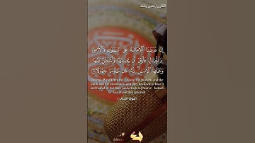 تلاوة عطرة من سورة الأحزاب بصوت القارئ يحيى رشاد من صلاة التهجد #قرآن #قرآن_كريم #قران