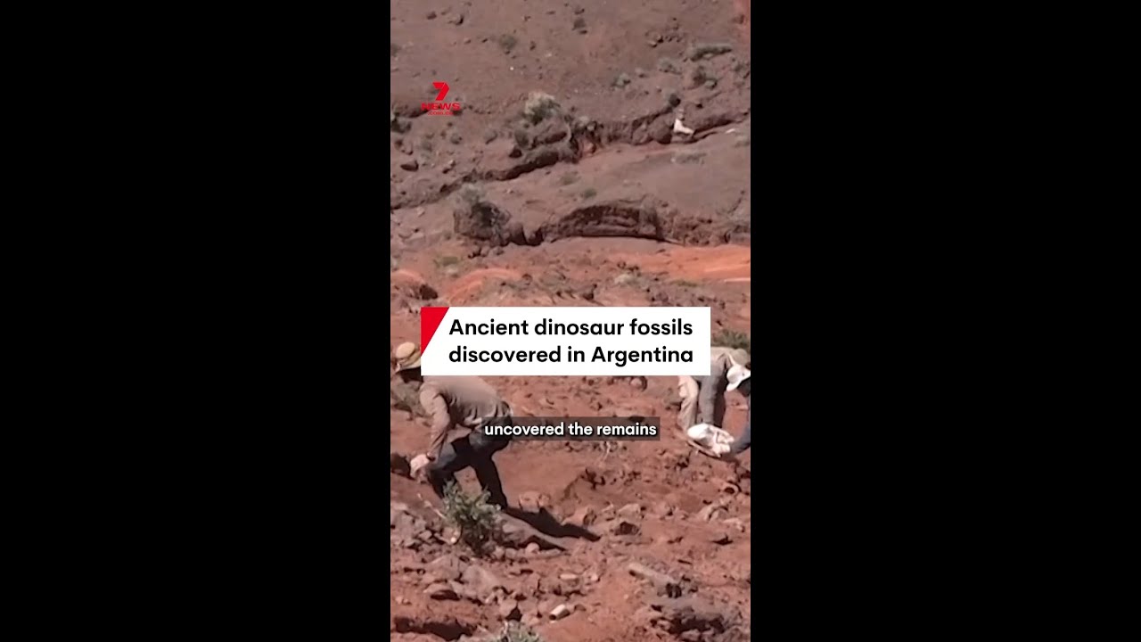 Ancient dinosaur fossils discovered in Argentina