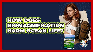 How Does Biomagnification Harm Ocean Life? - The Geography Atlas