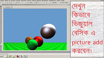 How to load a picture into Image Box in Visual Basic.