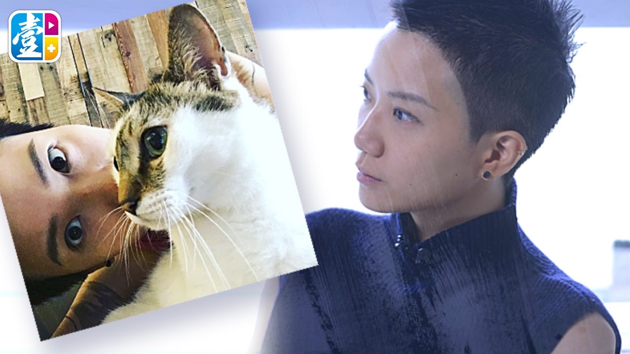 《豪語錄》移居台灣抗躁鬱　盧凱彤：搬貓大工程