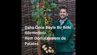 Duyunca Şok Olacağınız İnanılmaz İlginç Bilgiler