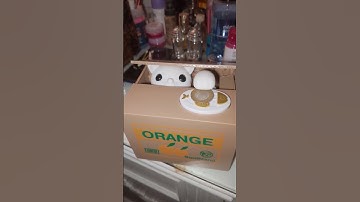 House Piggy bank cat box #satisfying #asmr #asmrsounds