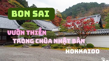 BON SAI NHẬT BẢN/ KIẾN TRÚC SÂN VƯỜN GẦN GŨI VỚI THIÊN NHIÊN #cuocsongnhatban