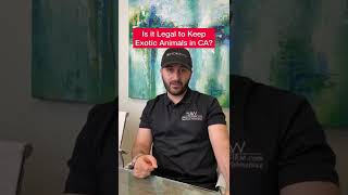 Is it Legal to Keep Exotic Animals in CA? #law #shorts #lawyer #tips #animals #exotic