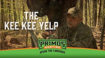 The Kee Kee Yelp on a Mouth Call