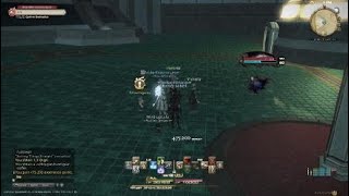 Details FINAL FANTASY XIV EndWalker MSQ: Setting Things Straight Guide