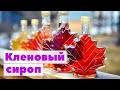 Как это сделано | Кленовый сироп | Maple syrup