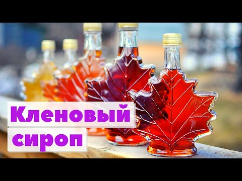 Video: Кант клен сиропу канча?