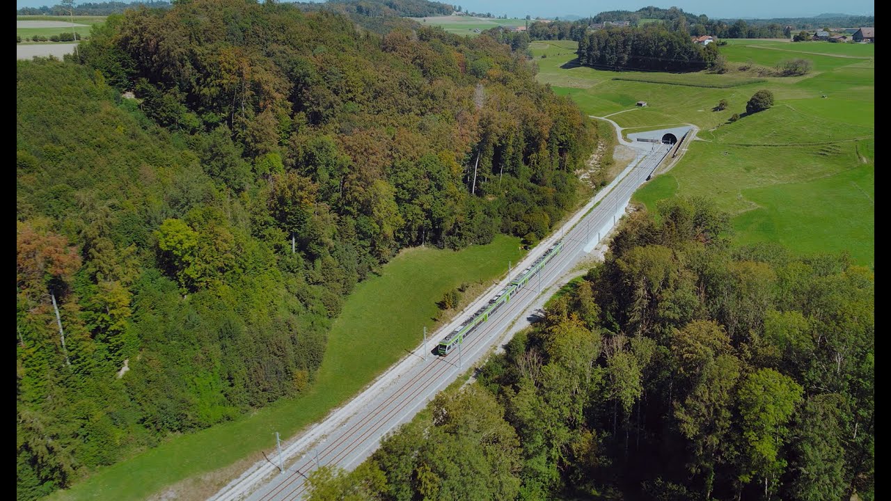 Ein Bahntunnel schafft neue Lebensräume für Tiere
