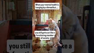 How I Learned to Stop Worrying and Love the panic #stress #memes #panic How I Learned to Stop Worrying and Love the panic #stress #memes #panic