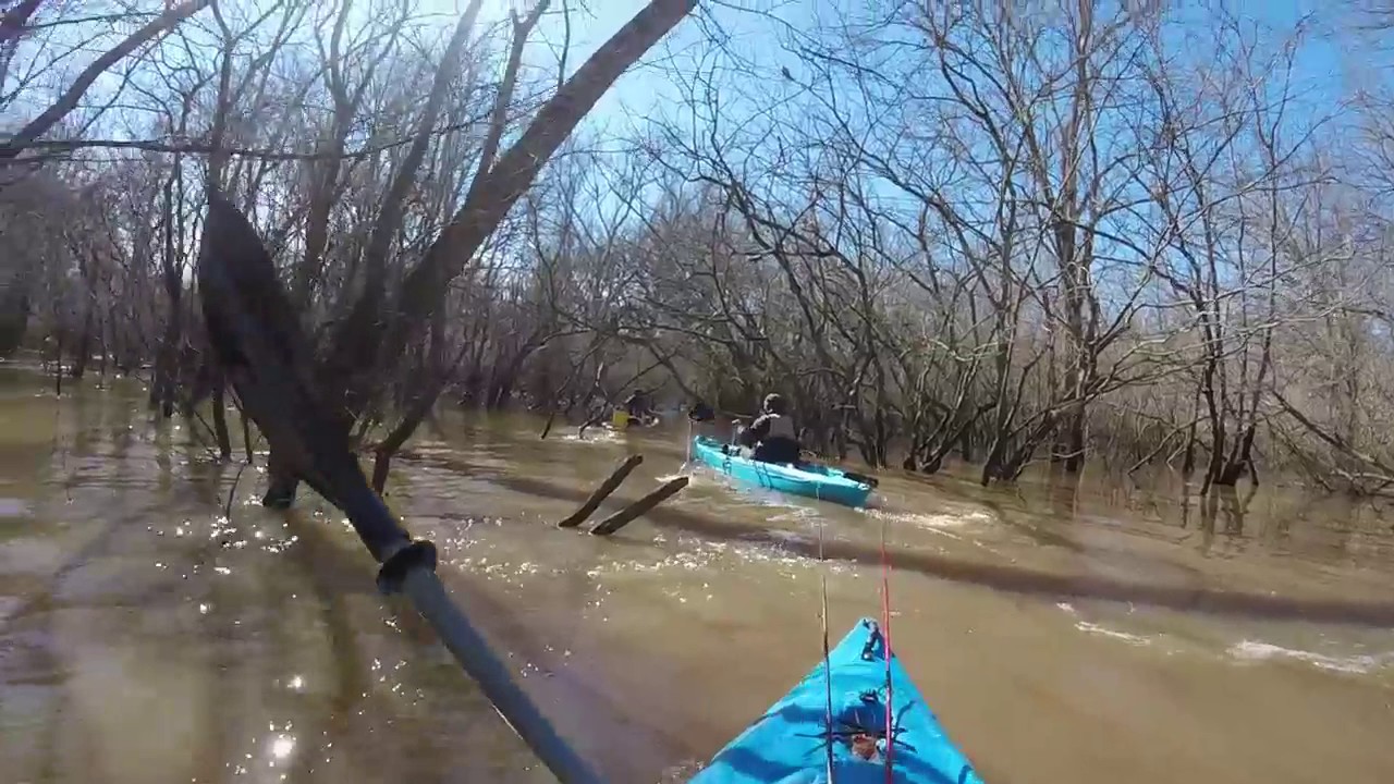 Extreme Backwater Kayaking in the Angelina River!! YouTube