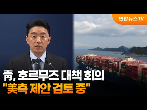 靑, 호르무즈 대책 회의…
