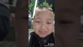 Tam Mao Tv - Cười Đau Cả Bụng Với Mao Đệ Tập Chơi Tiktok Và Cái Kết Dất Nhiều Phan