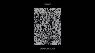 Skudge - Falling [SKUDGE-LP02]