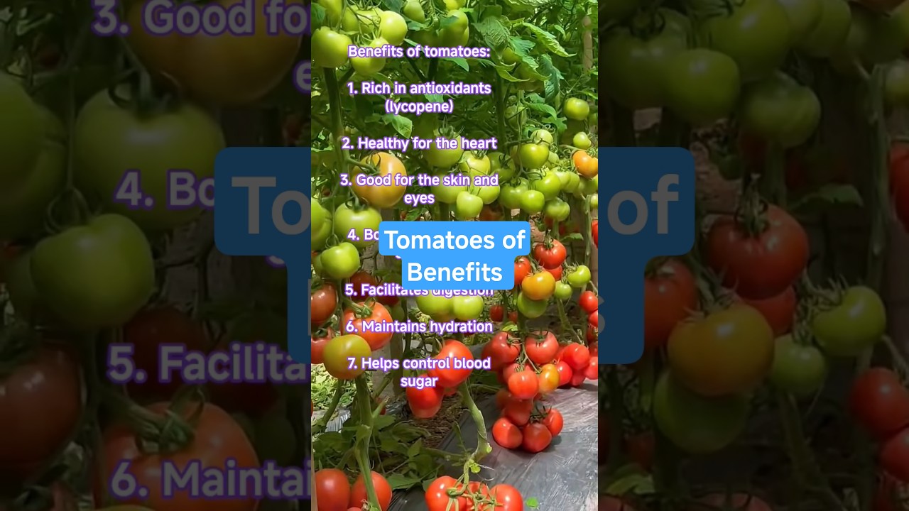 Tomatoes of Benefits 