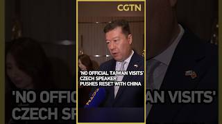 No official Taiwan visits: Czech speaker pushes reset with China