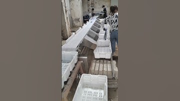 Fish weight sorting machine #fishing #seafood #seafoodprocessing #food #equipment