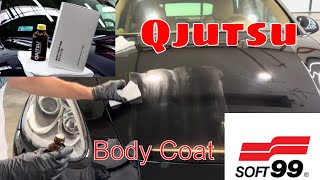 Porsche Transformation Finished! Paint Polishing And Protection With Soft 99 Qjutsu Coating! screenshot 5
