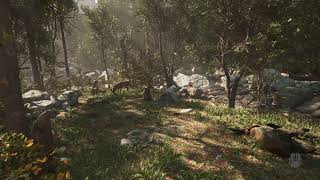 Unreal Engine + Quixel Megascans - Forest Environment
