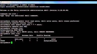 Creation of Routing rule via Unity Director command line