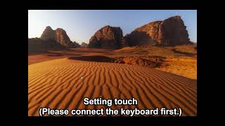 How To Install The Second Display Into Birch Amplitud Ex Pos