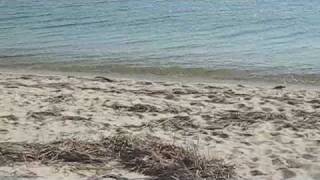 Cape Cod 2008 Video