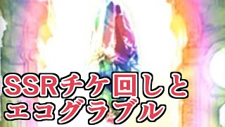 イベントで貰えてたSSRチケ複数回し＋最近グラブルをまったりやっているエコグラブラーによる日課の話【グラブル】