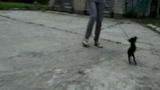 DSCF0382.AVI
