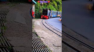 Toy Train 🚂🚃🚃. #darjeeling #pahar #train #railway #vehicle