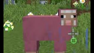 Im Playing Donutsmp Rating Bases