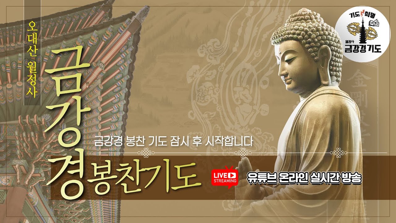 금강경 봉찬 저녁 온라인 기도 | 2026년 3월 1일 일요일 저녁 6:30~8:00