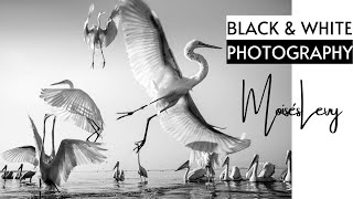 Black and White Photography - “Moisés Levy” | Featured Artist