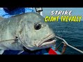 Battle fishing sengit di perairan sabang  mancing mania strike back 030224 part 1